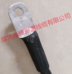 防水用測(cè)溫電纜