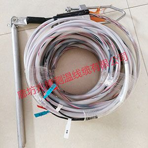 銷售防水測(cè)溫電纜