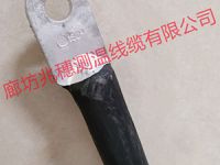 防水用測溫電纜